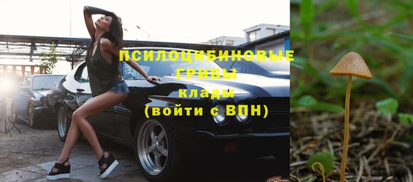 прущая мука Дмитриев