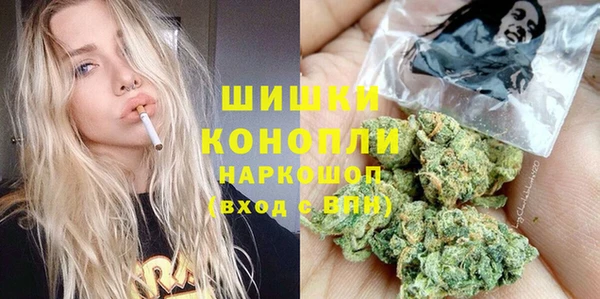 прущая мука Дмитриев